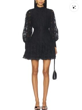 Express Black Lace High-Neck Long-Sleeve Mini Dress